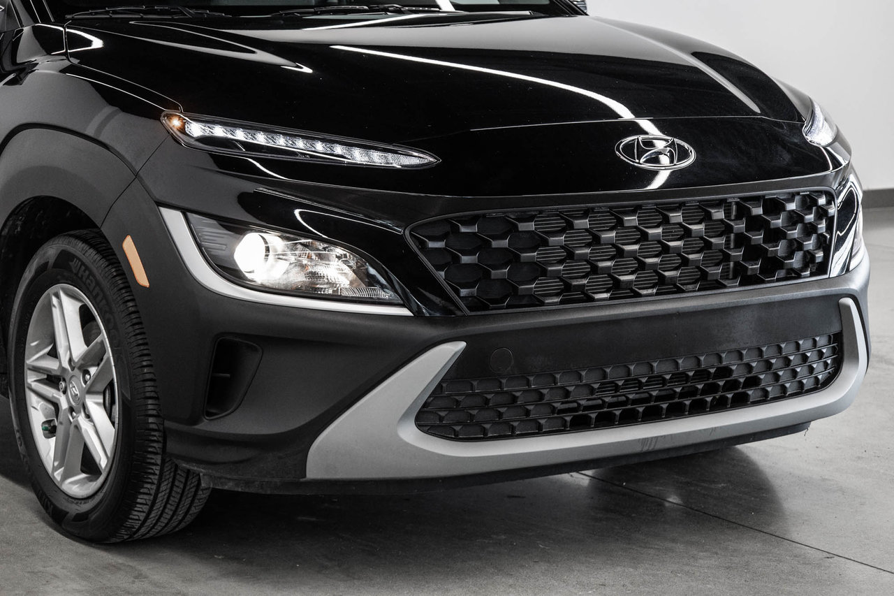 2026 Ford F-150 - Image 6