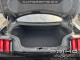 2026 Ford F-150 - Thumbnail 14