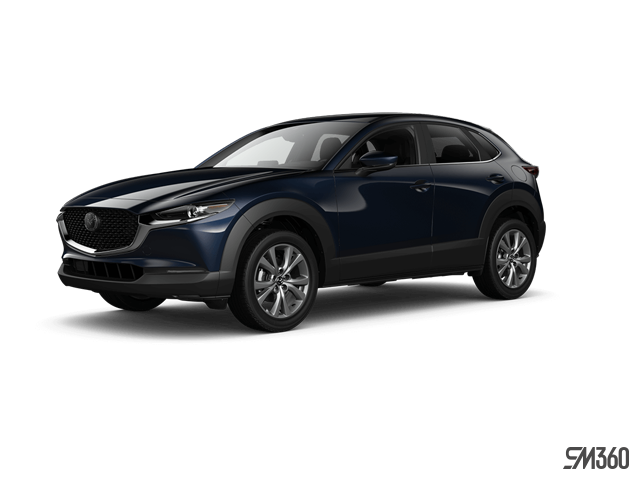 2026 Kia Seltos - Image 3