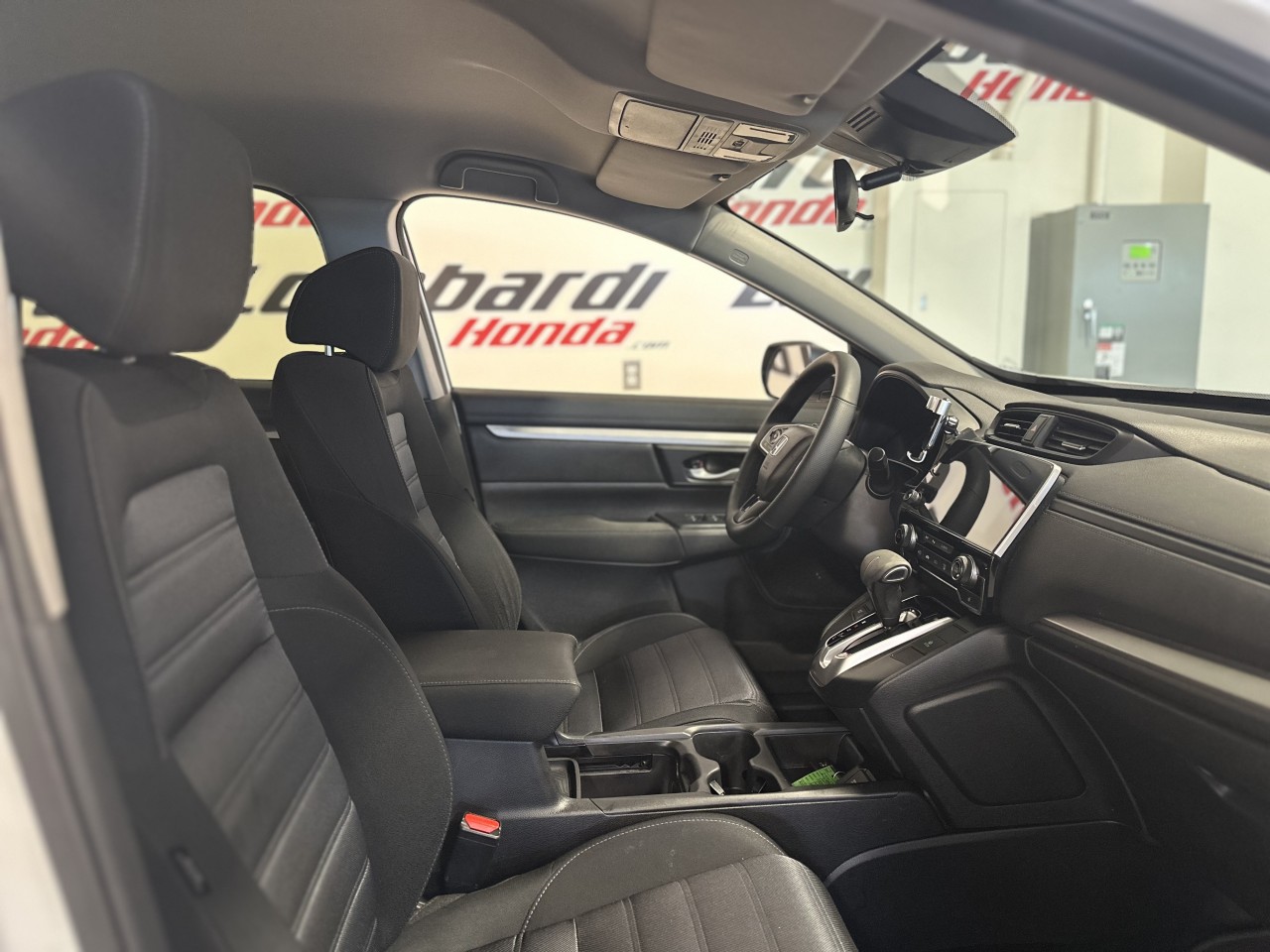 2026 Ford F-150 Hybrid - Image 22