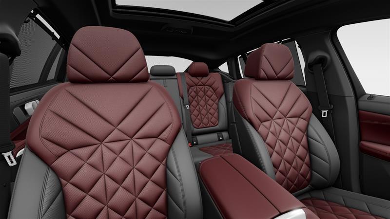 2026 BMW X6 - Image 13