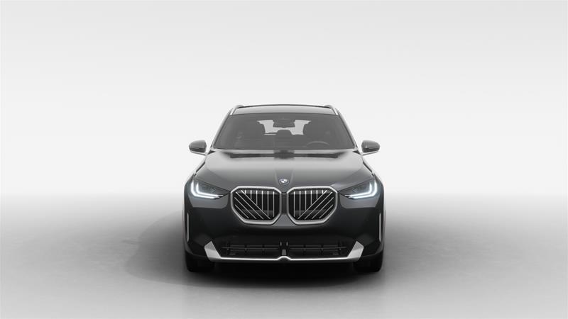 2025 BMW X3 - Image 3