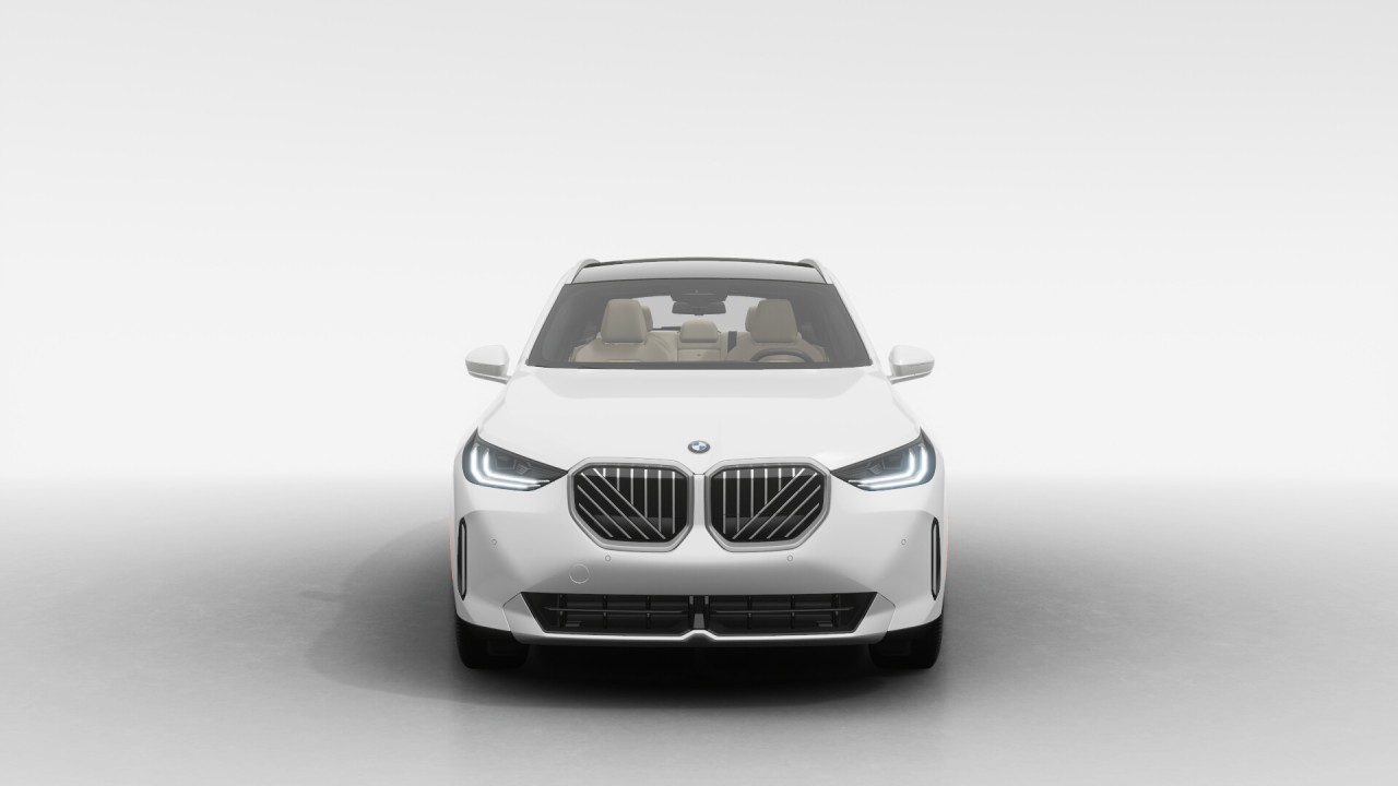 2025 BMW X3 - Image 3