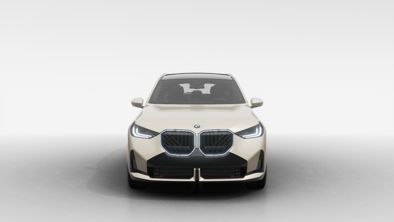 2025 BMW X3 - Image 3