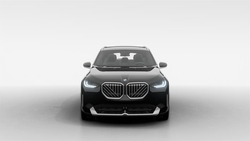 2025 BMW X3 - Image 3
