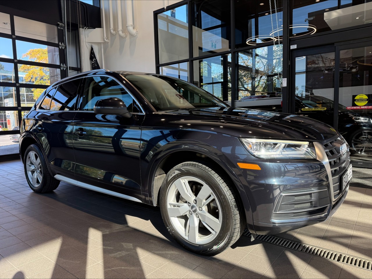 2019 Audi Q5
