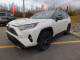 2019 Toyota RAV4 - Thumbnail 3