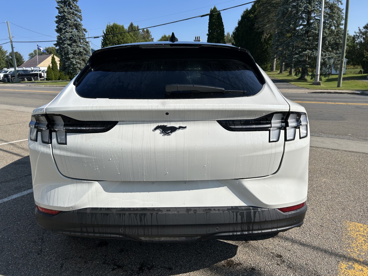 2024 Ford Mustang Mach-E - Image 5