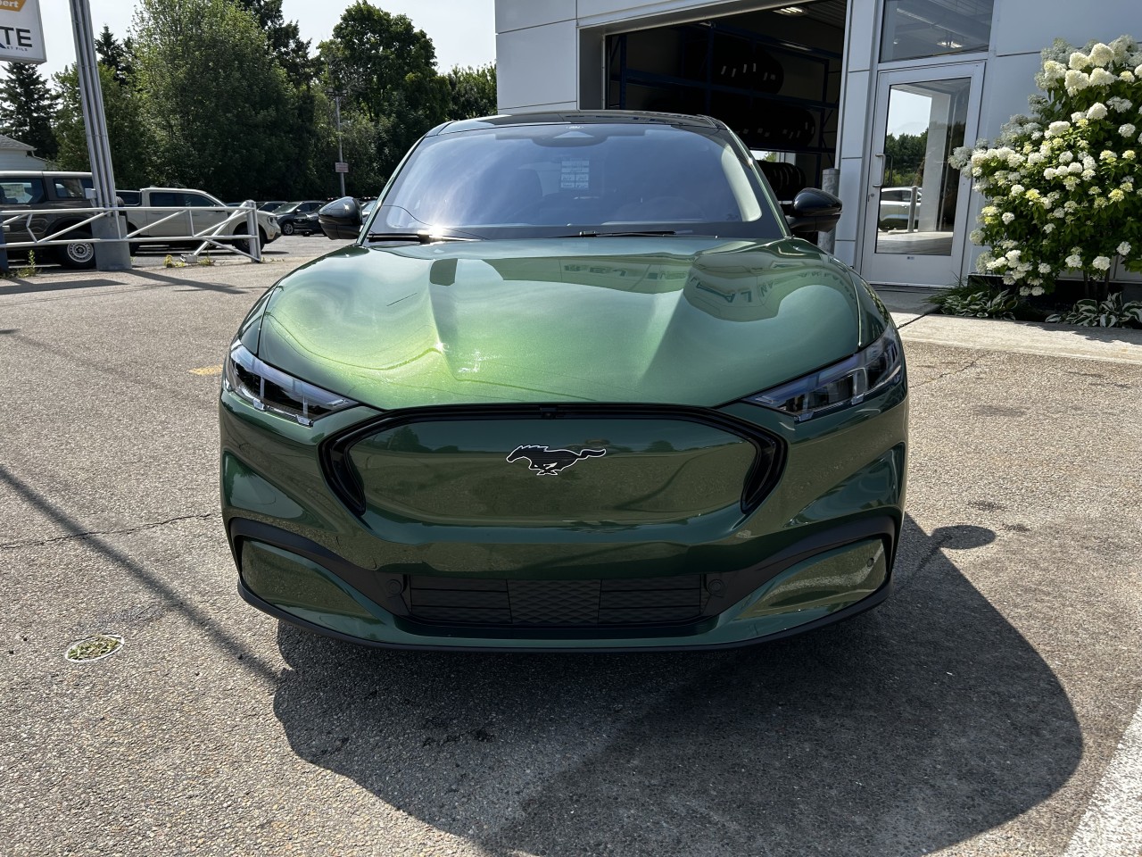 2025 Ford Mustang Mach-E - Image 2