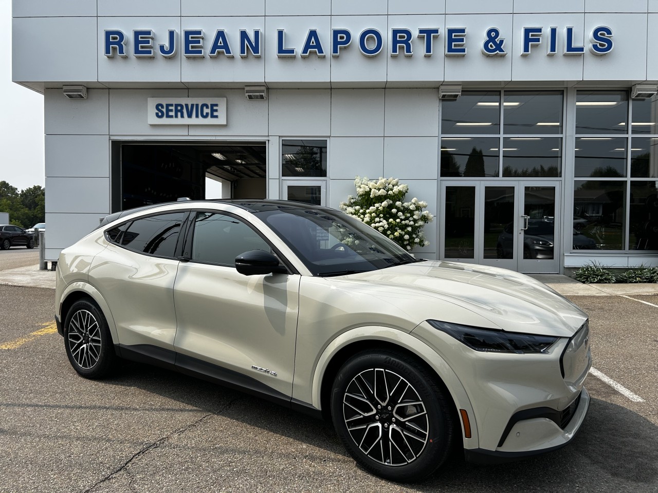 2025 Ford Mustang Mach-E