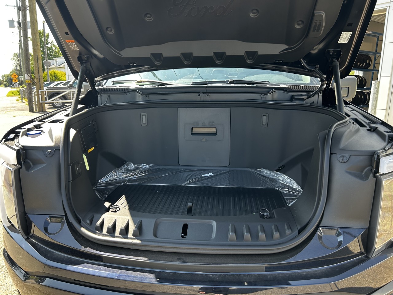 2025 Ford F-150 Lightning - Image 10