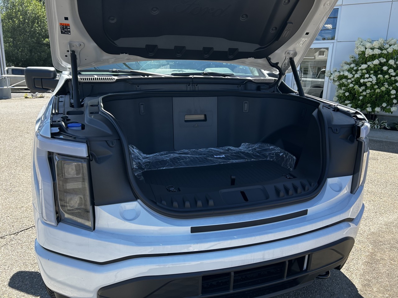 2025 Ford F-150 Lightning - Image 12