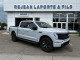 2025 Ford F-150 Lightning - Thumbnail 1