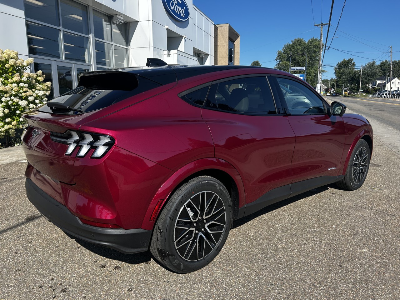 2025 Ford Mustang Mach-E - Image 6