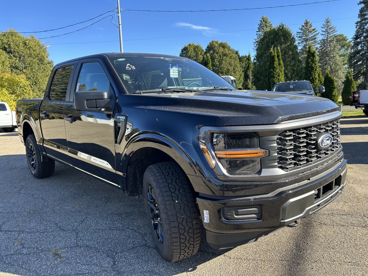 2025 Ford F-150 - Image 11