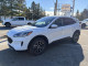 2021 Ford Escape - Thumbnail 3