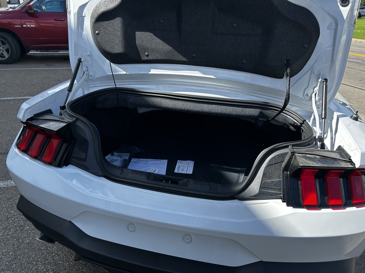 2025 Ford Mustang - Image 6