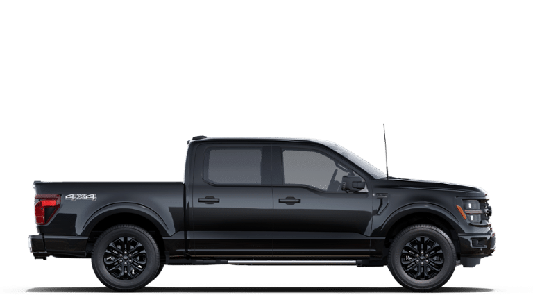 2025 Ford F-150 - Image 5
