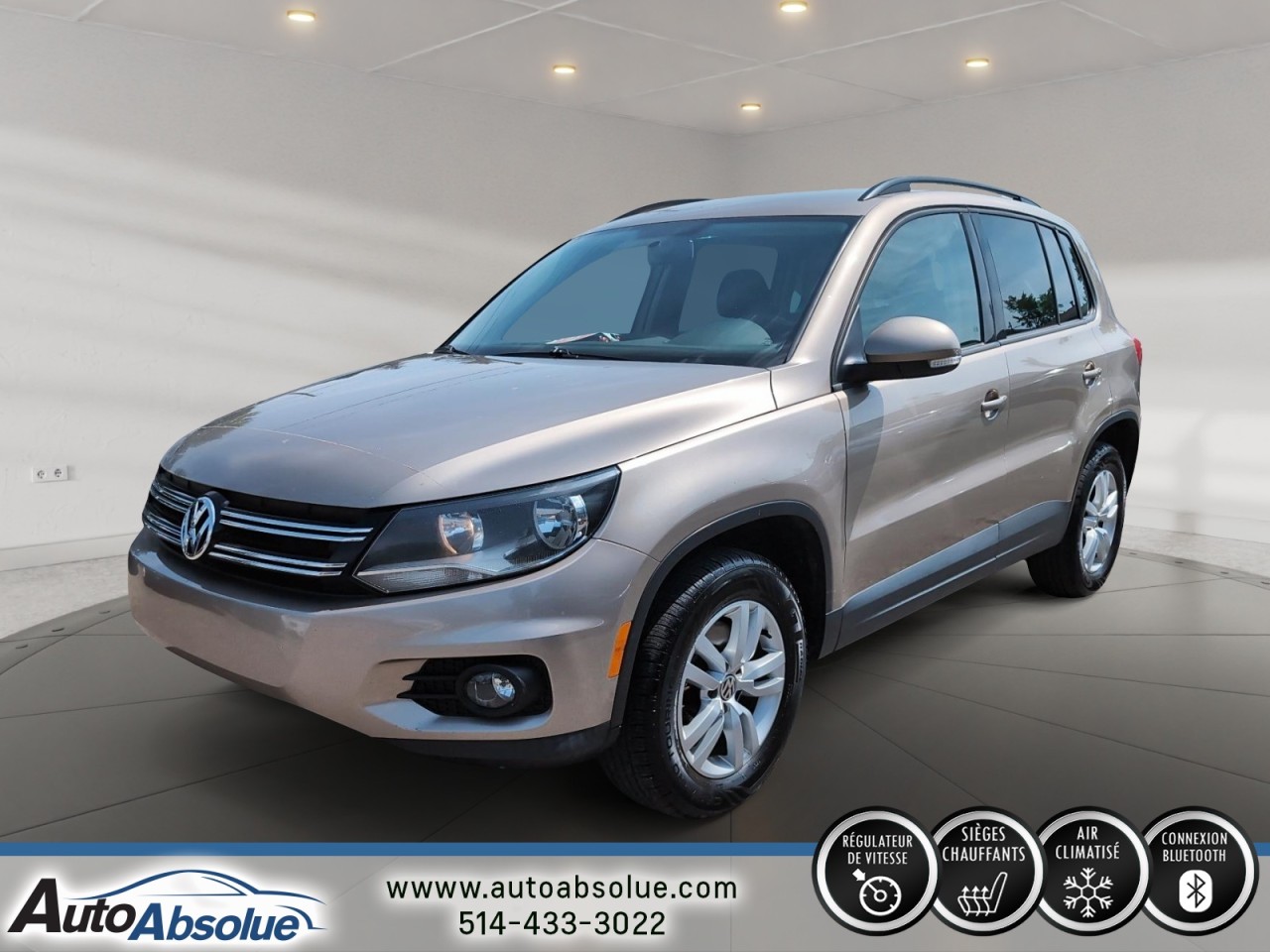 2015 Volkswagen Tiguan