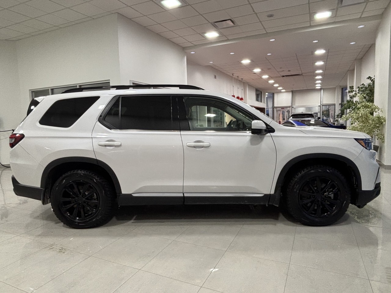 2025 Honda Pilot - Image 5