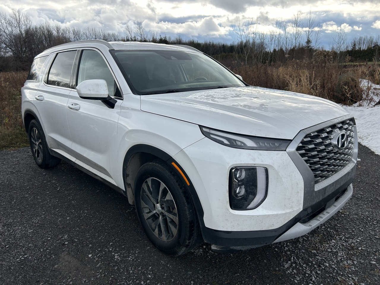 2021 Hyundai Palisade - Image 5