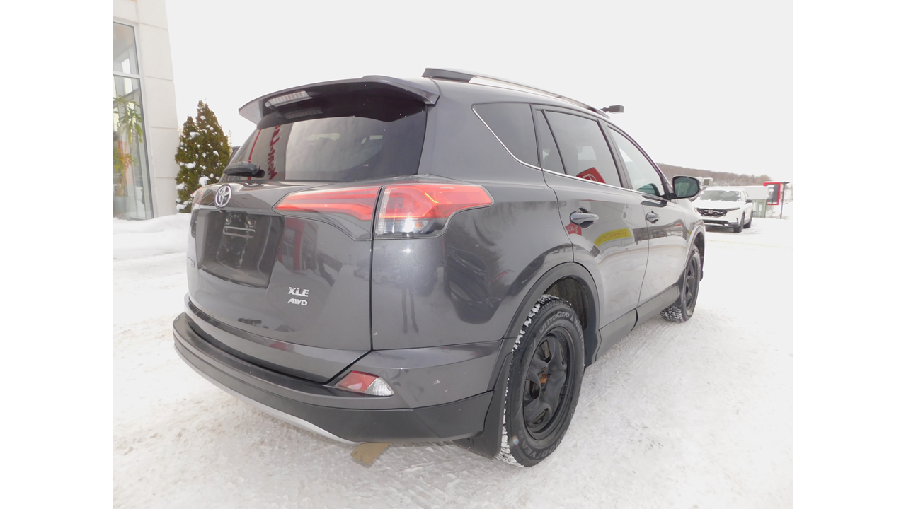 2017 Toyota RAV4 - Image 9