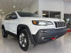 2019 Jeep Cherokee - Thumbnail 1
