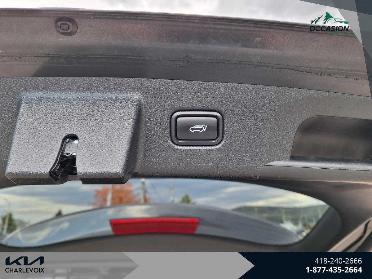 2022 Kia Telluride - Image 8