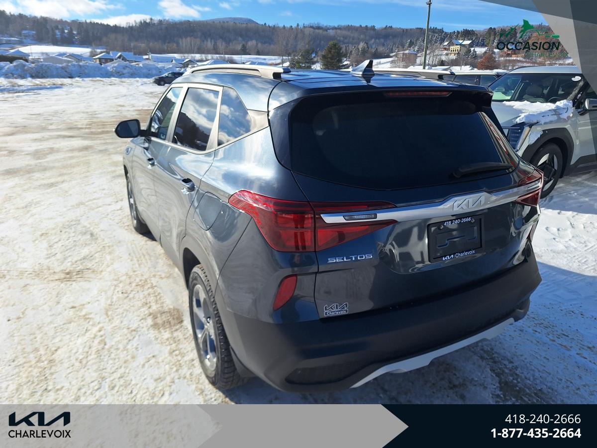 2023 Kia Seltos - Image 6