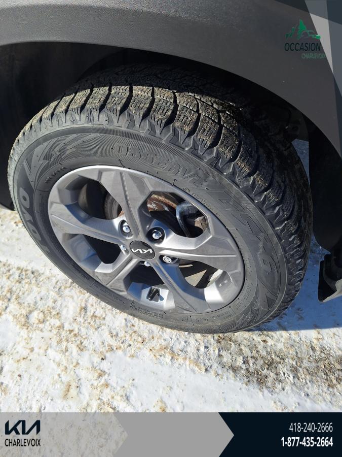 2023 Kia Seltos - Image 8