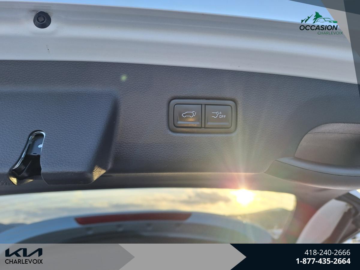 2024 Kia Carnival - Image 8