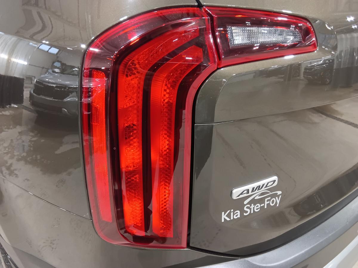 2022 Kia Telluride - Image 11