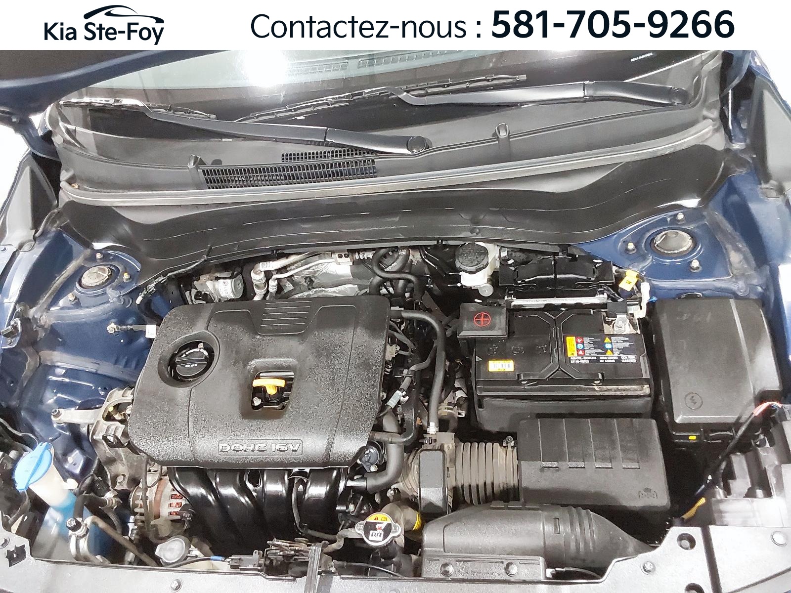 2024 Kia Seltos - Image 7