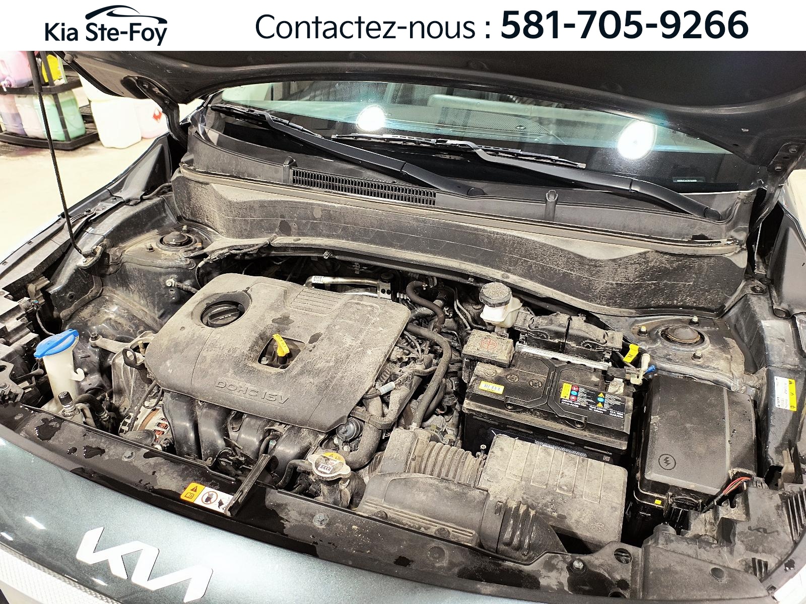 2024 Kia Seltos - Image 7