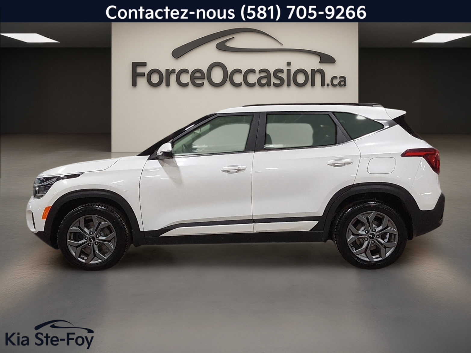 2024 Kia Seltos - Image 3