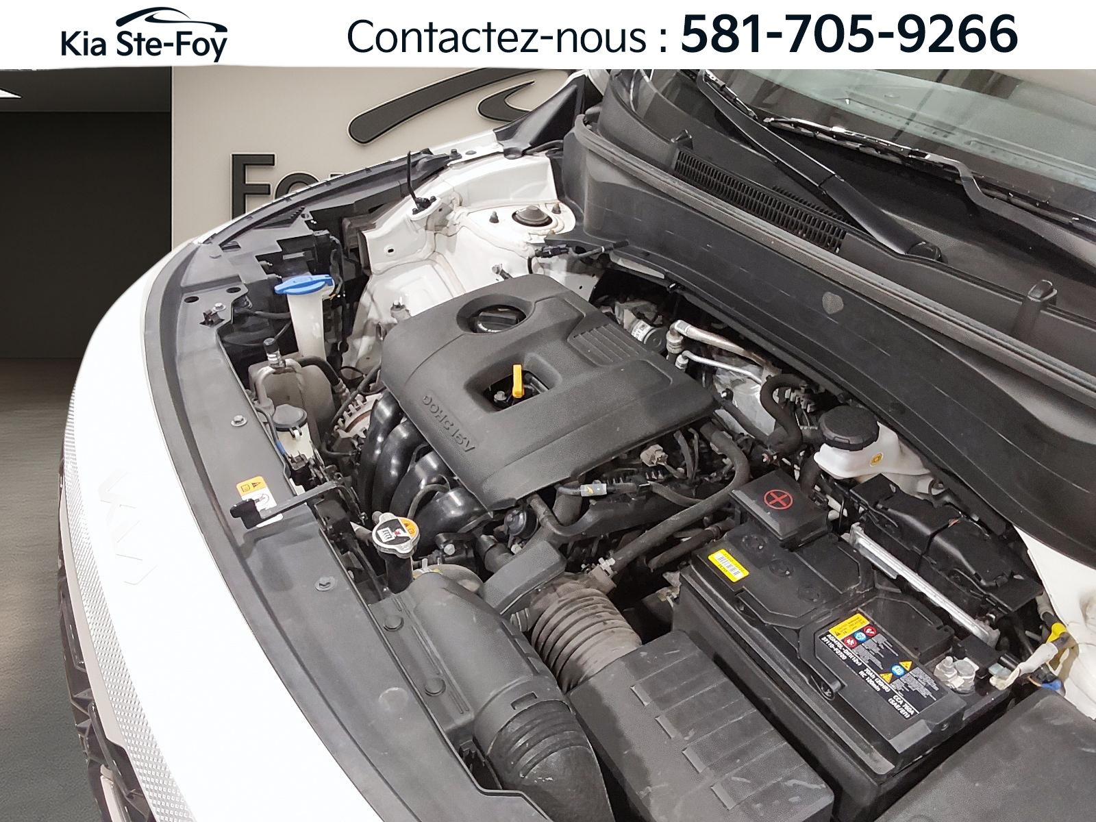 2024 Kia Seltos - Image 7