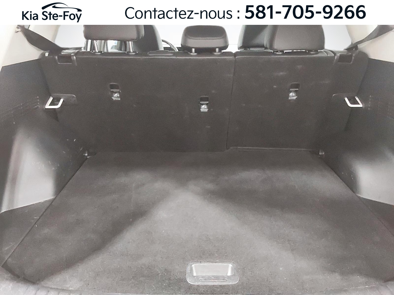 2024 Kia Seltos - Image 8