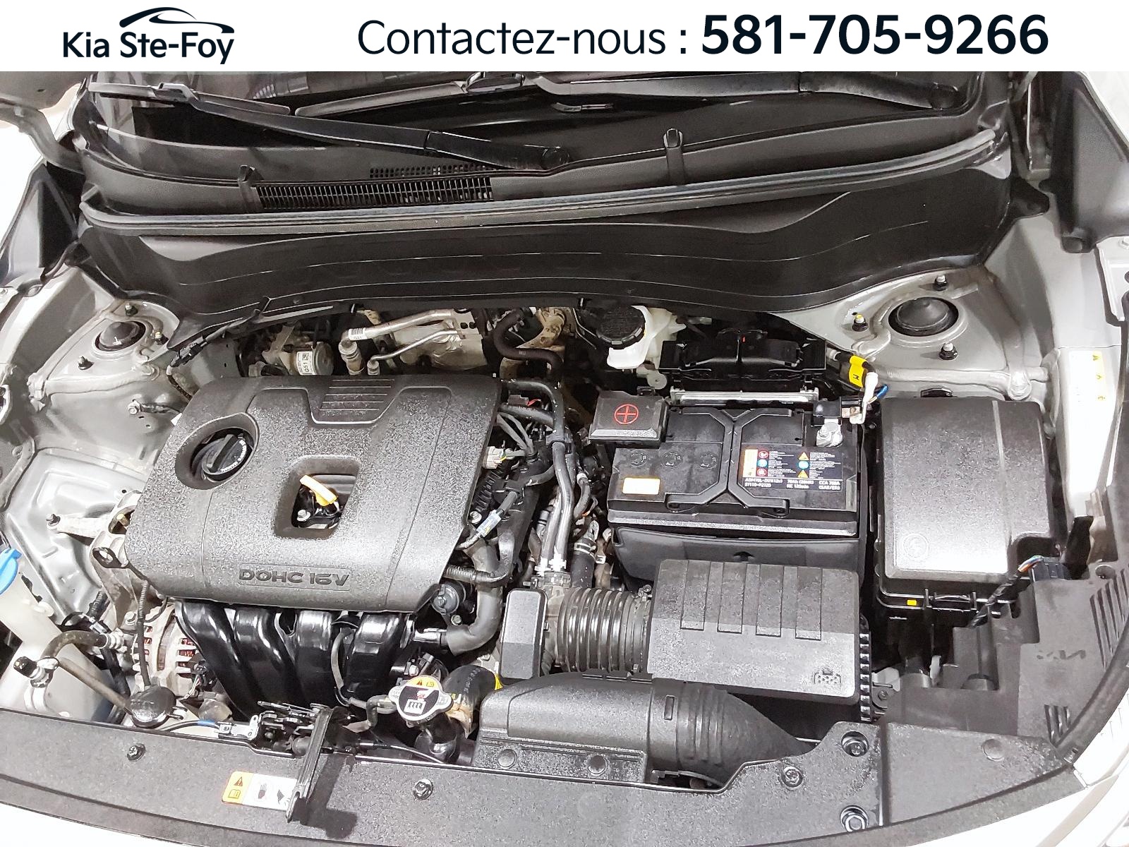 2025 Kia Seltos - Image 7