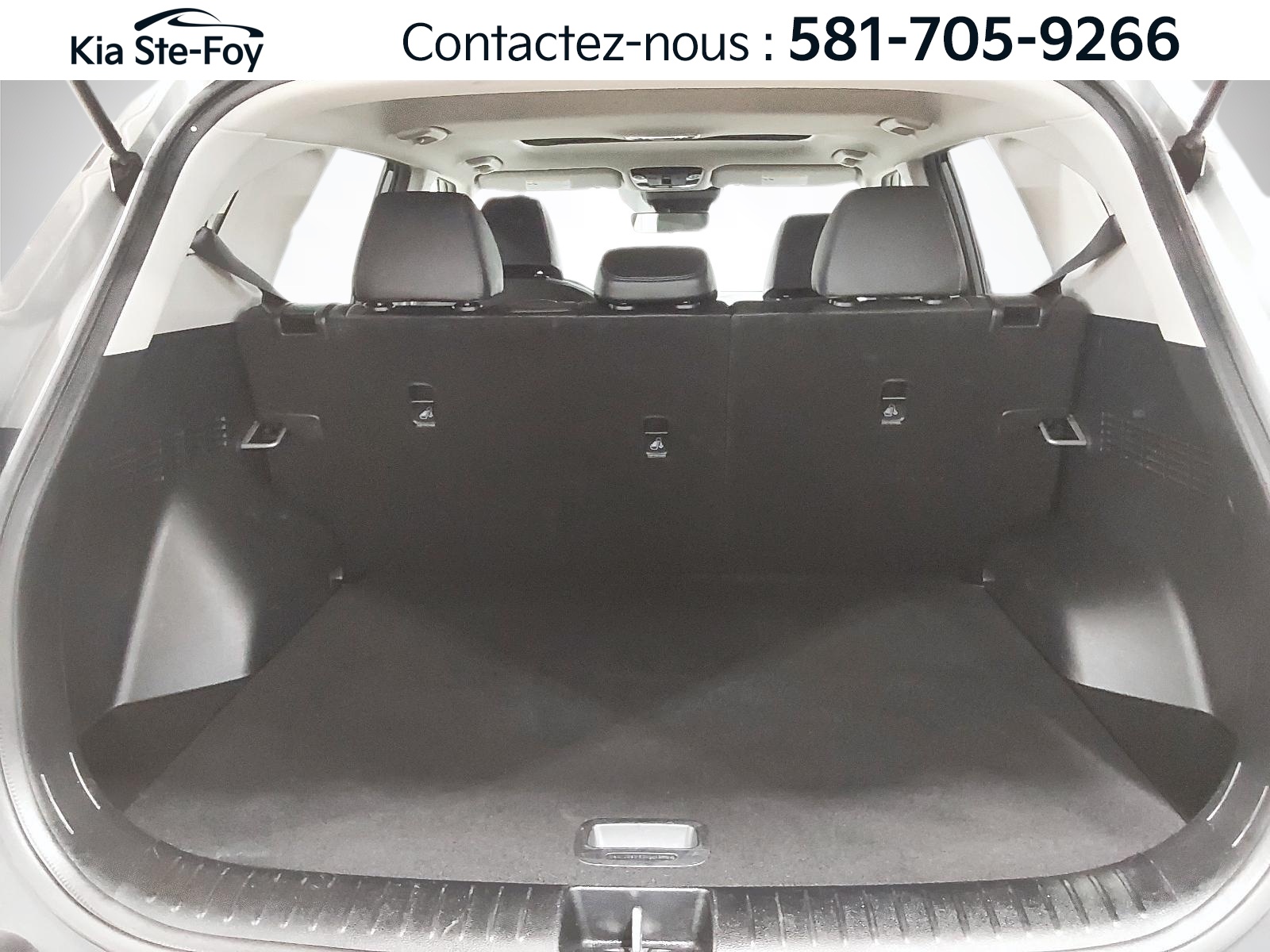 2025 Kia Seltos - Image 8