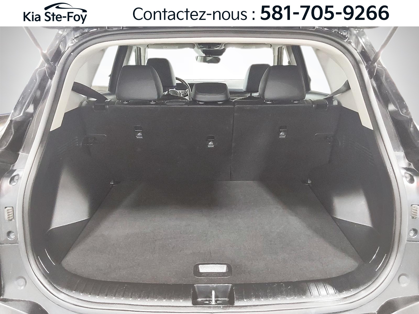 2024 Kia Seltos - Image 8