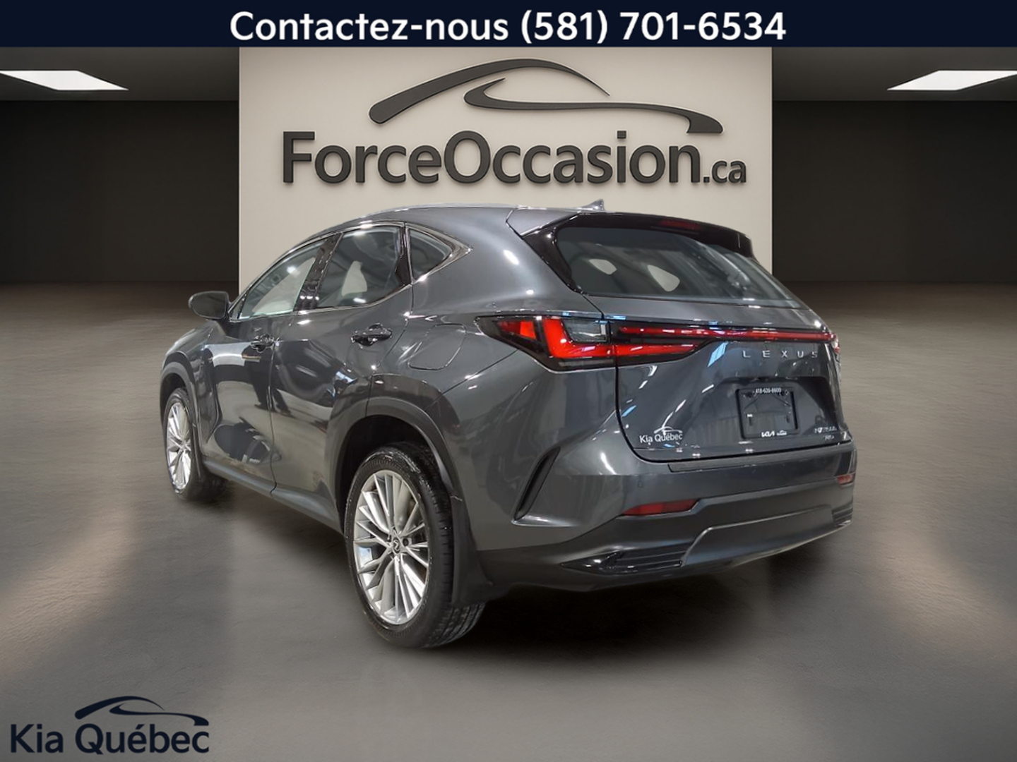 2024 Lexus NX 350h - Image 2