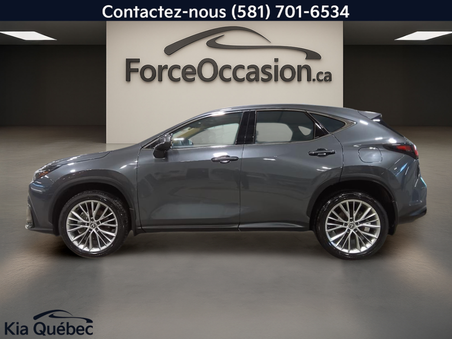 2024 Lexus NX 350h - Image 3