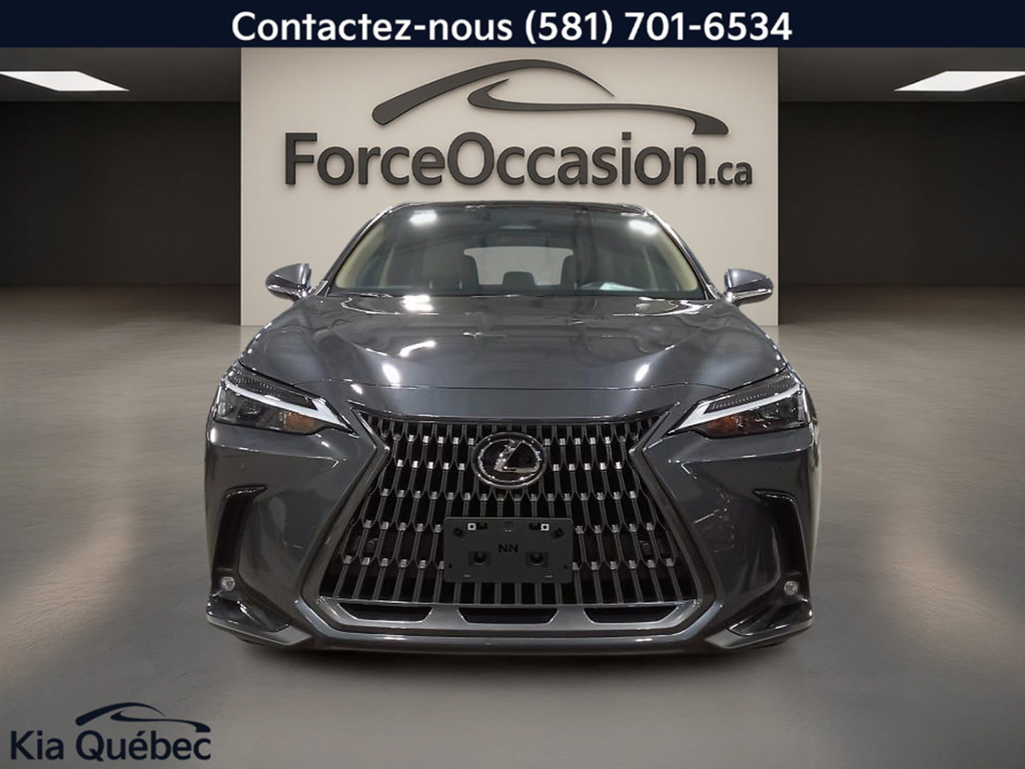 2024 Lexus NX 350h - Image 4