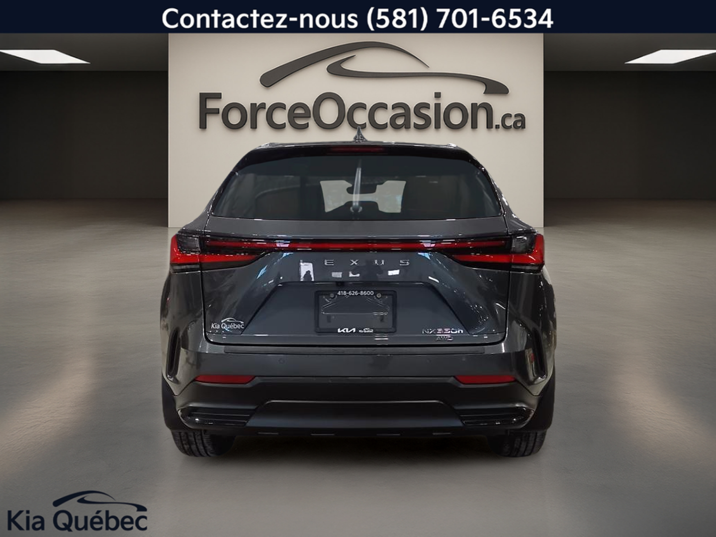 2024 Lexus NX 350h - Image 5