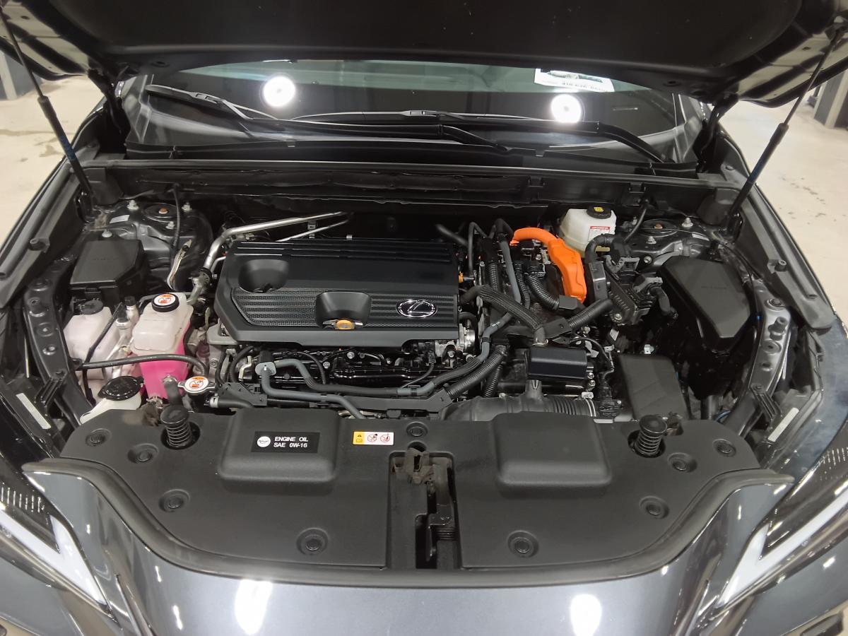 2024 Lexus NX 350h - Image 8