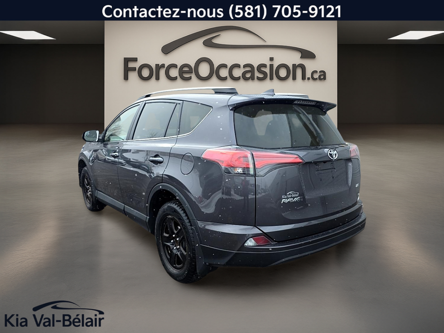 2017 Toyota RAV4 - Image 10