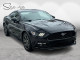 2015 Ford Mustang - Thumbnail 3