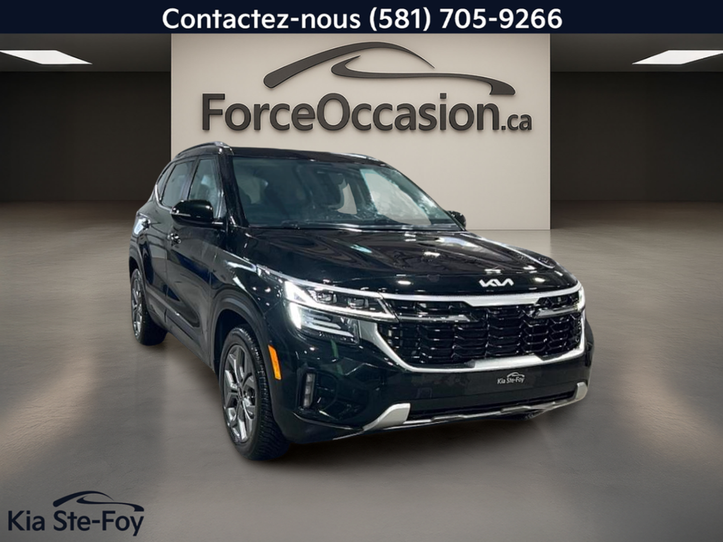 2024 Kia Seltos - Image 3