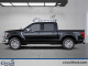 2025 Ford F-150 Hybrid - Thumbnail 2