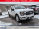 2023 Ford F-150 - Thumbnail 3